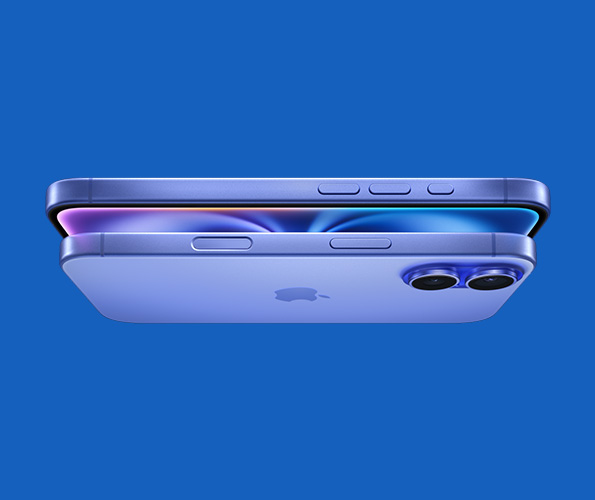 b1